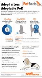 VetDepot supports adopt-a-less-adoptable-pet month with infographic